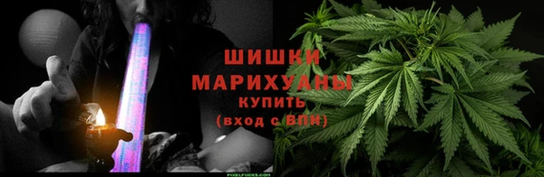 стаф Алзамай