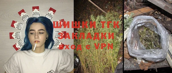 шишки Алексеевка